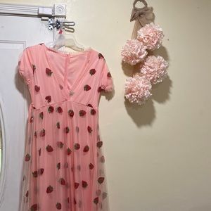 Strawberry Dress